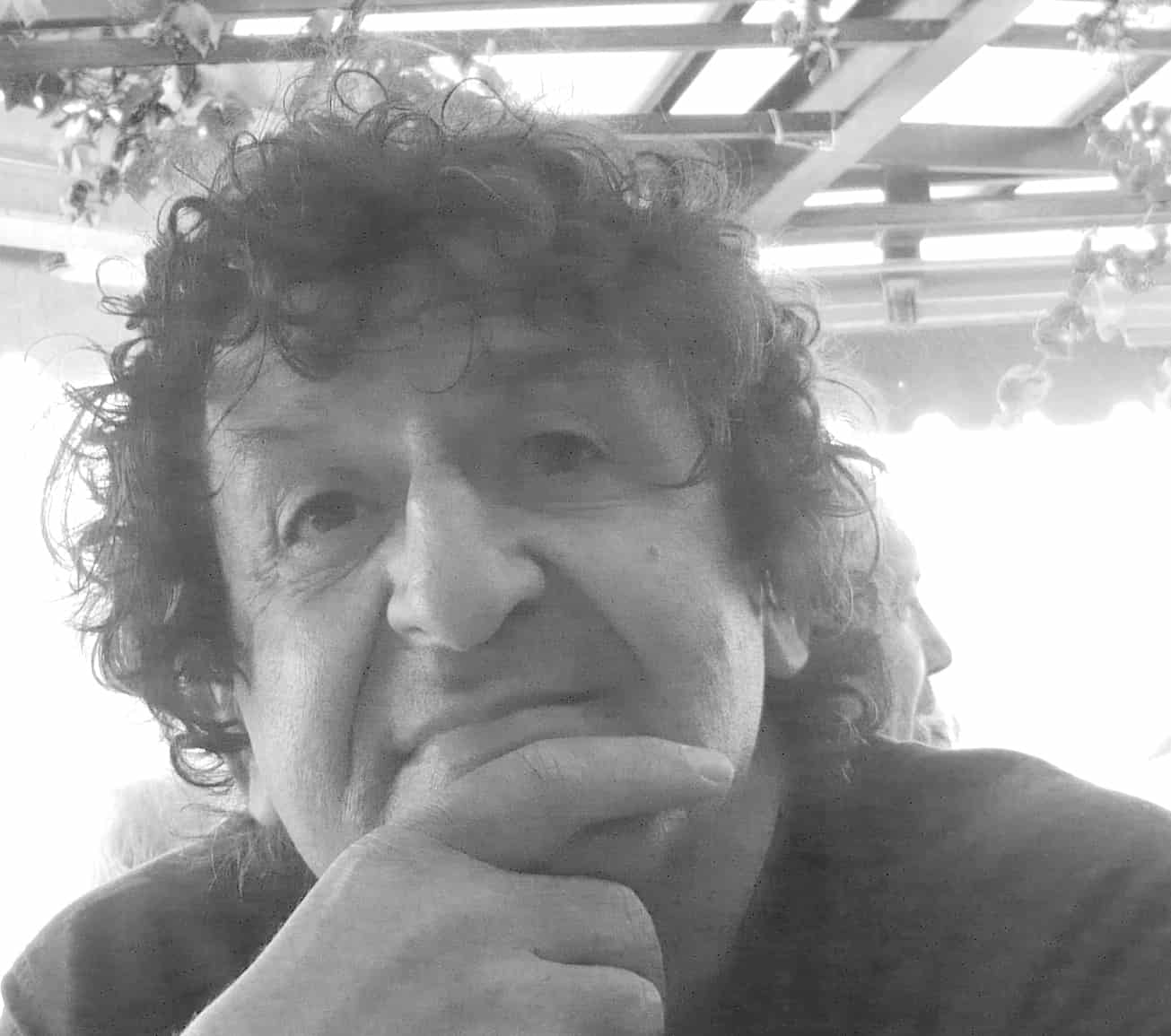 Robert Schindel StudienVerlag StudienVerlag